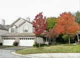Wellington Park, Fall 2012, Palatine, IL