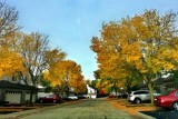 Wellington Park, Fall 2012, Palatine, IL