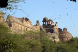The Old fort by the zoo, National Zoological Park, Delhi