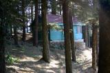 Cottage in the woods, Chail, Himachal Pradesh