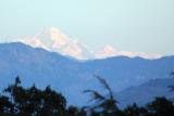 Close up of the peak, Chail, Himachal Pradesh