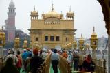 Entering the Sanctum Sanctorum, Golden temple, Amritsar, Punjab