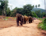 Sri Lanka - A land like no other - 2004