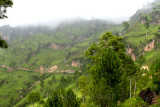 Mountains