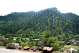 Village
