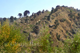 Mountain near Drieer