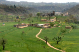 Village