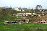 Village