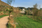 Fields
