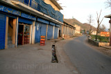 Bazaar