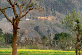 Village