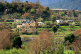 Village