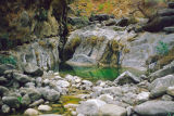 Pond