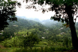 Village