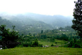 Village