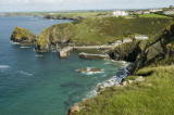 Mullion Cove morning walk 72.jpg
