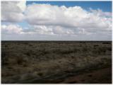 Hay Plains