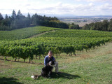 Amity vineyards