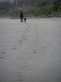 Ruby Beach, WA