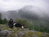 Robert's Roost