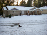 Our Frozen Road