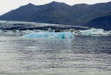 DSC_7685.jpg