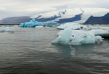 DSC_7699.jpg