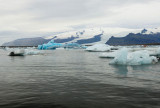 DSC_7700.jpg