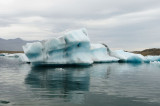 DSC_7708.jpg
