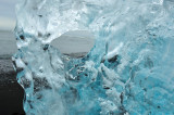 DSC_7784.jpg
