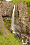DSC_7861.jpg