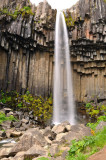DSC_7867.jpg