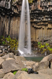 DSC_7872.jpg