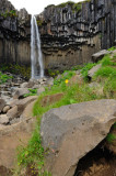 DSC_7875.jpg