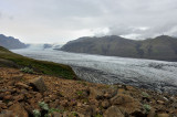 DSC_7890.jpg