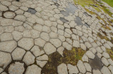 DSC_8020.jpg