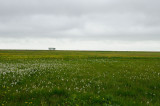 DSC_8283.jpg
