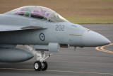 Australian Super Hornet 24 May 10