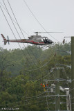 Pwr Line Helo VH-LFD - Walloon - 11 Jan 08