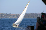 Sydney Bay #2
