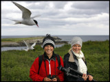 Martin & Madelene on Farne Islands (England) in a Common Tern colony
