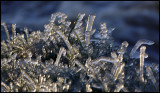 Icefingers of frozen grass near waterfall - Huseby