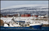 Big fishing vesse Havbas entering Vads harbour