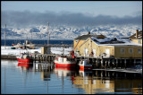 Vestre Jakobselv - 19 degrees below Zero (Centigrades)!!