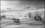 Coastal snowdrift in Varanger - Norway