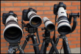 The Big Guns 2009 Eos-1Ds MK3 & 600/4L IS +  50D & 300/2,8L IS + 400/5,6 L + Eos-1D Mk3 & 500/4L IS