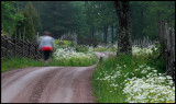 A walk in genuine Smaland landscape - Stensjö by
