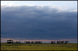 Birdwatchers at windshelter on the most southern point of the island