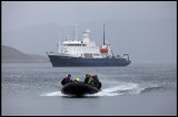 Wet Zodiac landing at Carnley Harbour - Auckland Island