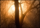 Foggy sunset near Borgomanero -Italy